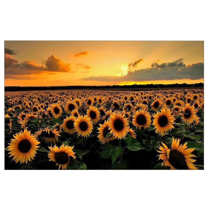 

Homemania - Cuadro Flores - Naturaleza y paisajes - para la sala de estar, la habitacion - Multicolor en Poliester, madera, 100 x 3 x 50 cm