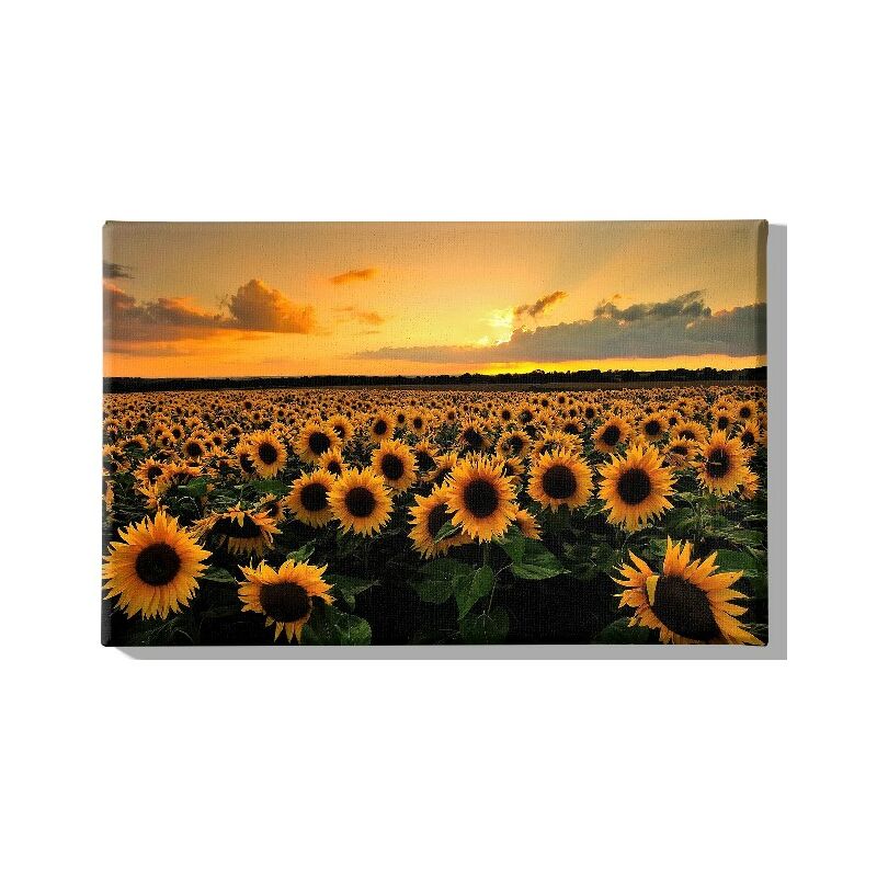 

Homemania - Cuadro Flores - Naturaleza y paisajes - para la sala de estar, la habitacion - Multicolor en Poliester, madera, 45 x 3 x 70 cm