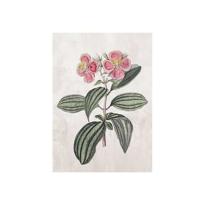 

Cuadro Flower (105 x 75 x 4 cm)
