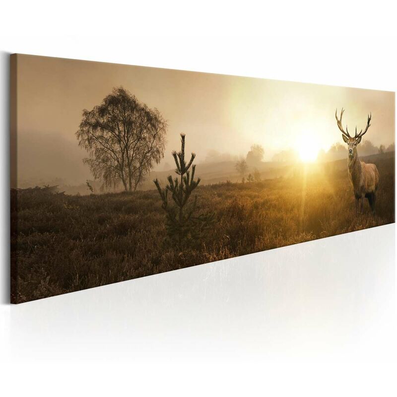 

Cuadro - Foggy Morning Medidas 135X45