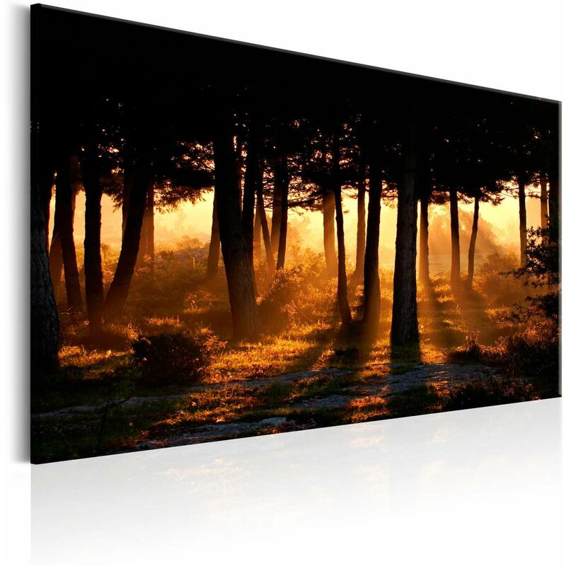 

Cuadro - Forest Dawn Medidas 120X80