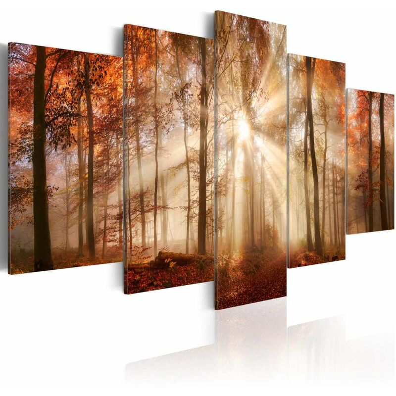 

Cuadro - Forest Fog Medidas 100X50