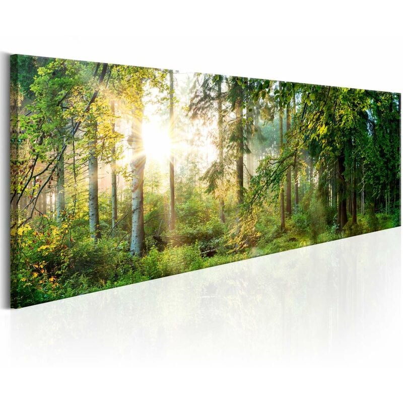 

Cuadro - Forest Shelter Medidas 135X45