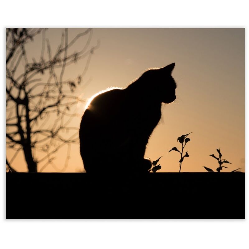

Cuadro Fotoimpresión Lienzo