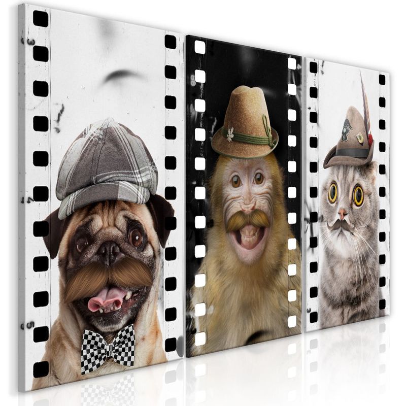 

Cuadro Funny Pets Collection cm 60x30 Artgeist