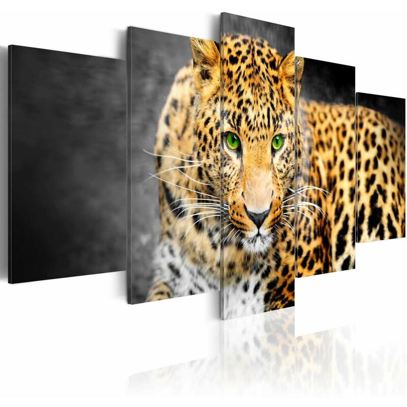 

Cuadro - Green-eyed leopard Medidas 100X50