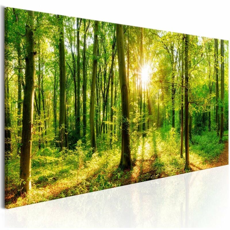 

Cuadro - Green Magic Medidas 120X40