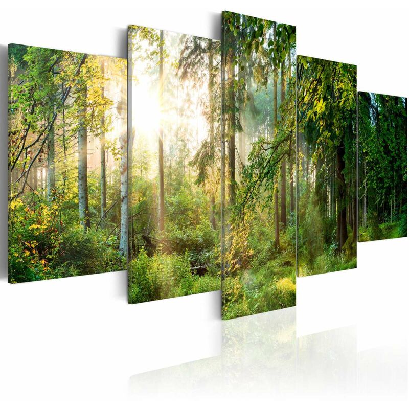 

Cuadro - Green Sanctuary Medidas 200X100