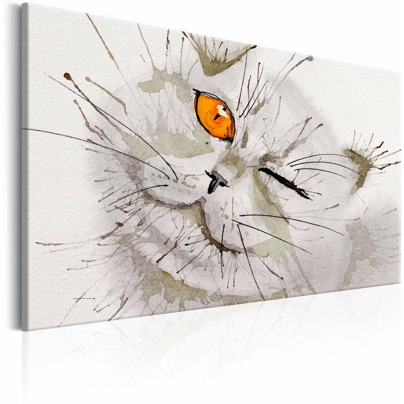 

Cuadro - Grey Cat Medidas 120X80