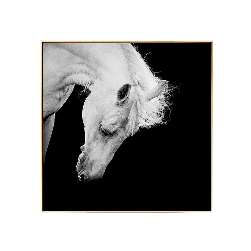 

Cuadro Horse BW (100 x 2,5 x 100 cm)
