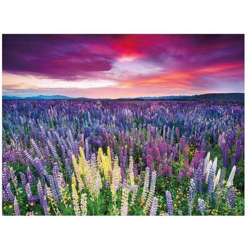 

Cuadro lavanda fotoimpreso de lienzo lila de 80x60 cm