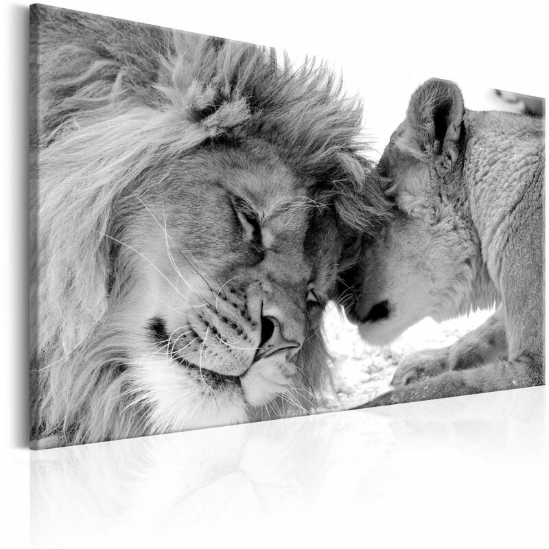 

Cuadro - Lion's Love Medidas 120X80