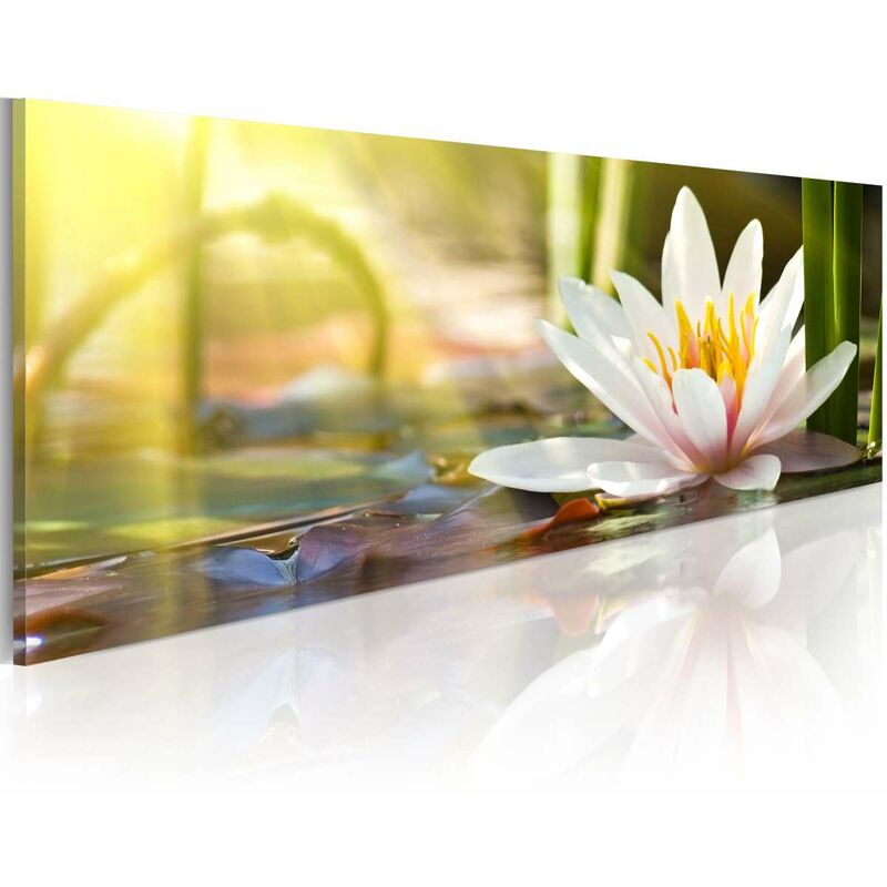 

Cuadro - Lotus' Glow Medidas 150X50