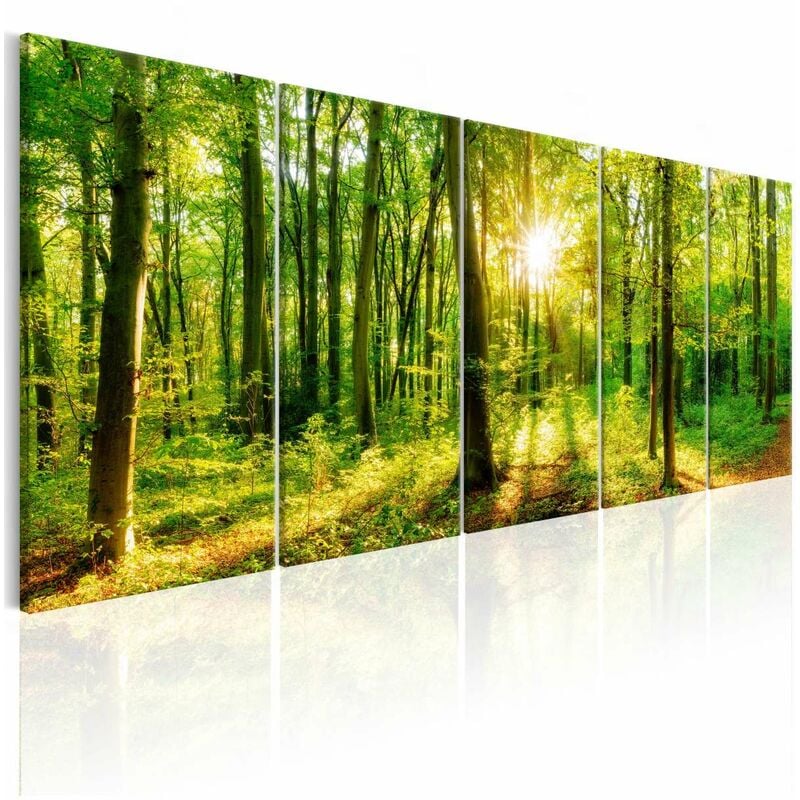 

Cuadro - Magic Forest Medidas 200X80