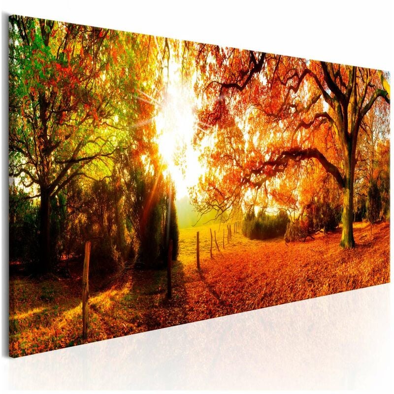

Cuadro - Magic of Autumn Medidas 150X50