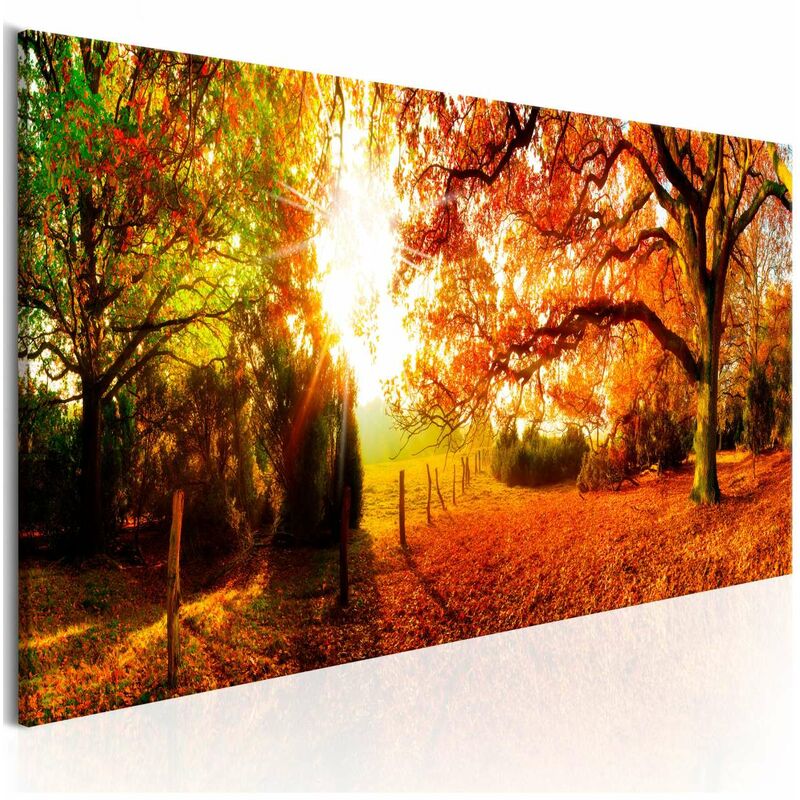 

Cuadro - Magic of Autumn Medidas 120X40
