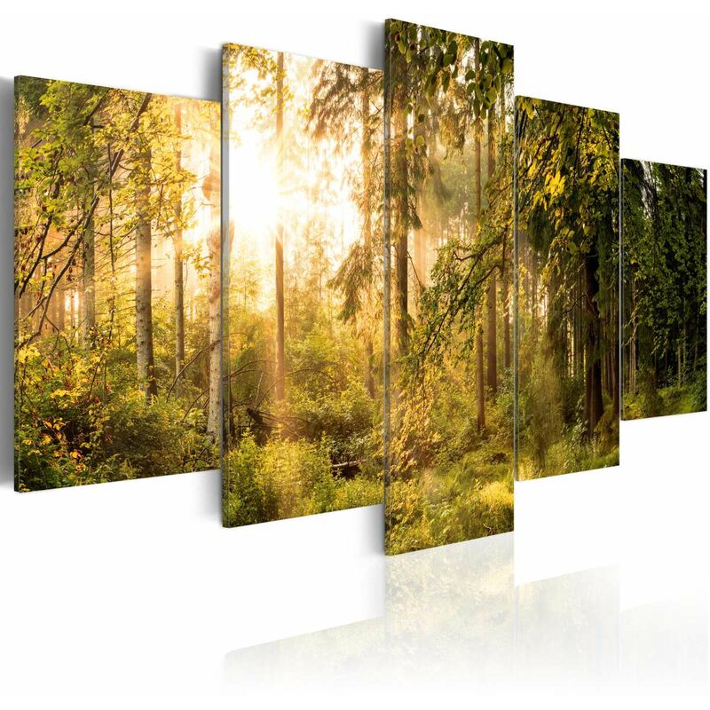 

Cuadro - Magic of Forest Medidas 200X100