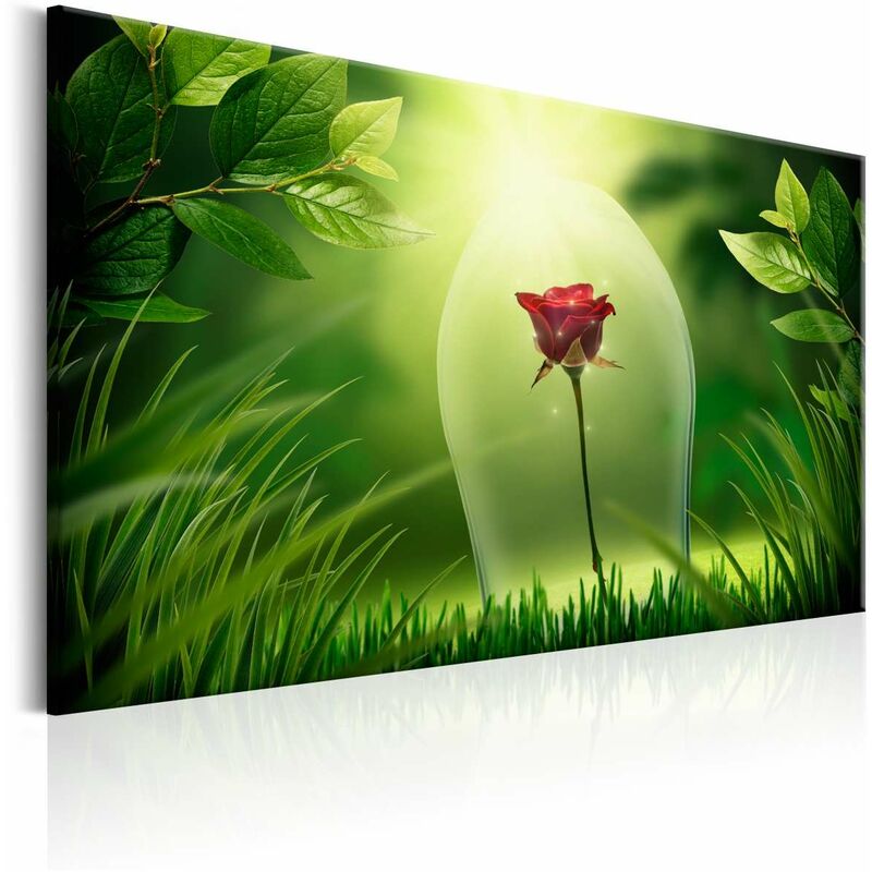 

Cuadro - Magical Rose Medidas 120X80