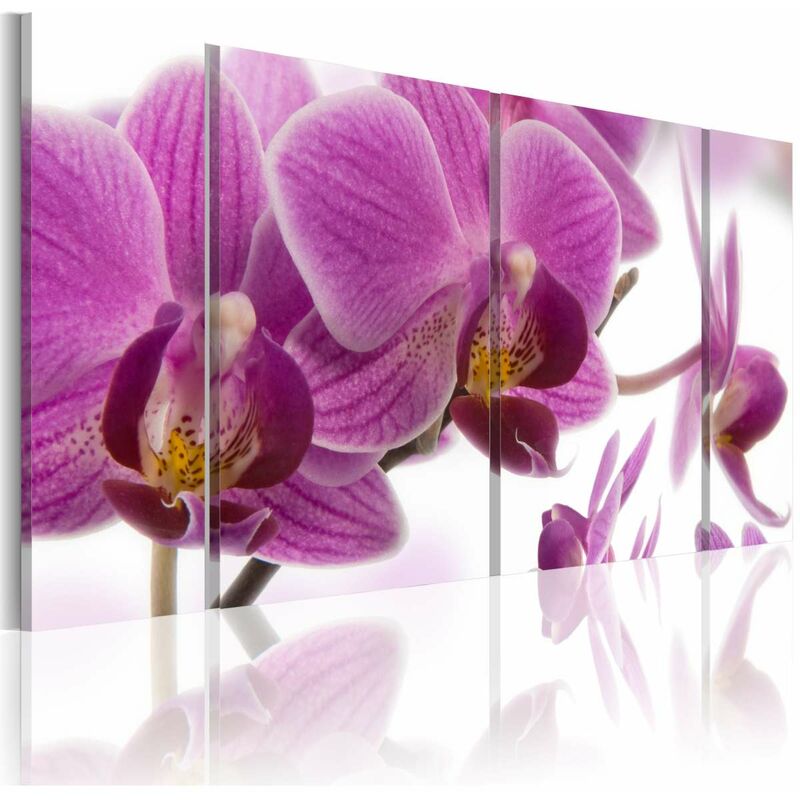 

Cuadro - Marvelous orchid Medidas 60X30