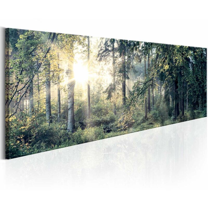 

Cuadro - Morning Magic Medidas 150X50