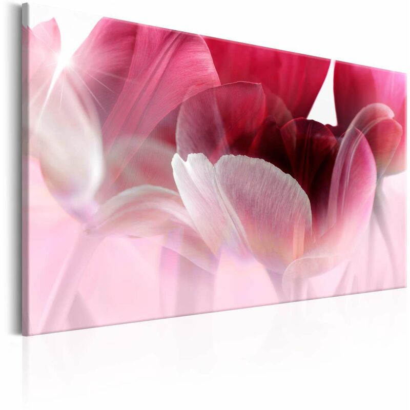 

Cuadro - Nature: Pink Tulips Medidas 90X60