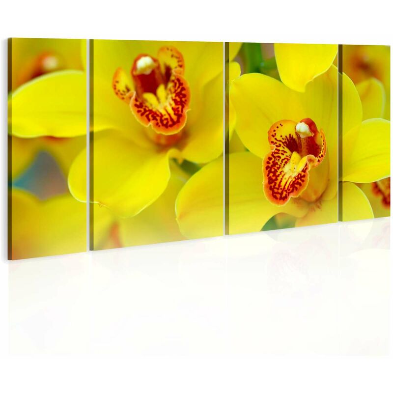 

Cuadro - Orchids - intensity of yellow color Medidas 60X30