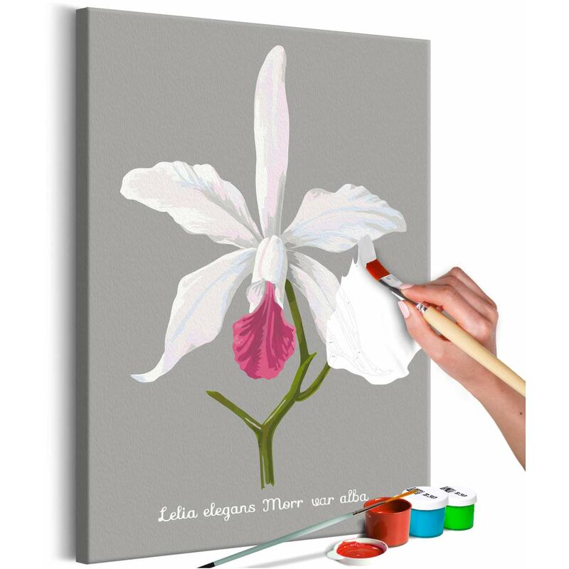 

Cuadro para colorear - Lelia elegans Medidas 40X60