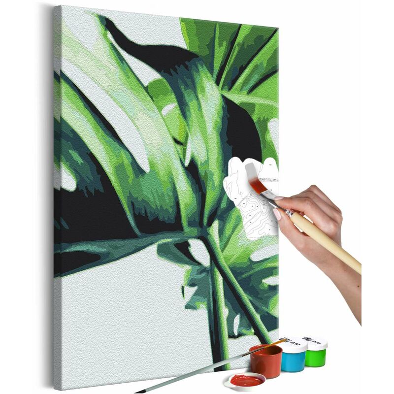 

Cuadro para colorear - Monstera Adansonii Medidas 40X60