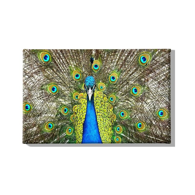 

Homemania - Cuadro Peacock - Animales - para la sala de estar, la habitacion - Multicolor en Poliester, madera, 45 x 3 x 70 cm