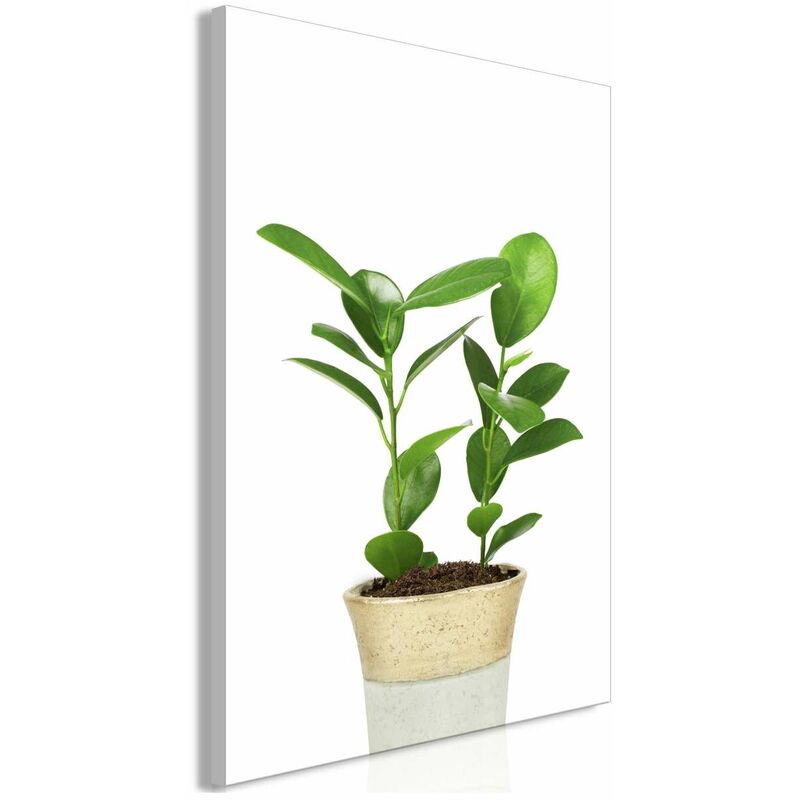 

Cuadro - Plant In Pot (1 Part) Vertical Medidas 40X60