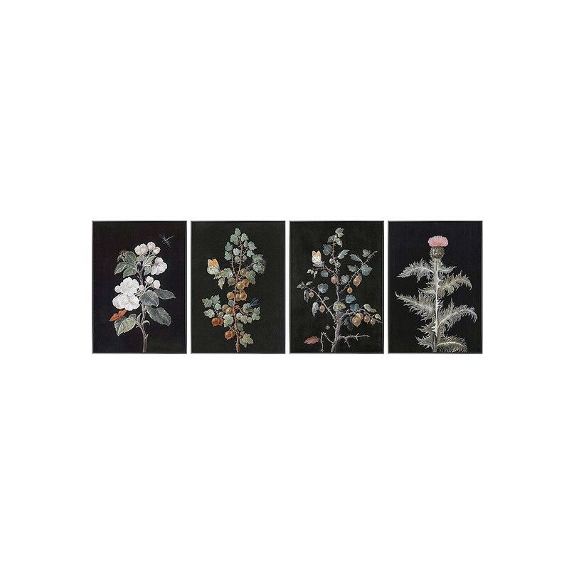 

Cuadro Plantas (4 pcs)