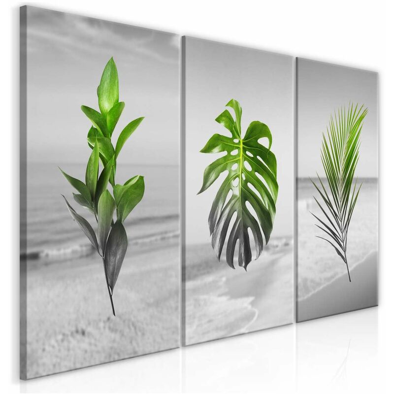 

Cuadro - Plants (Collection) Medidas 120X60