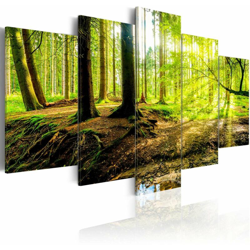 

Cuadro - Poetry of a Forest Medidas 200X100