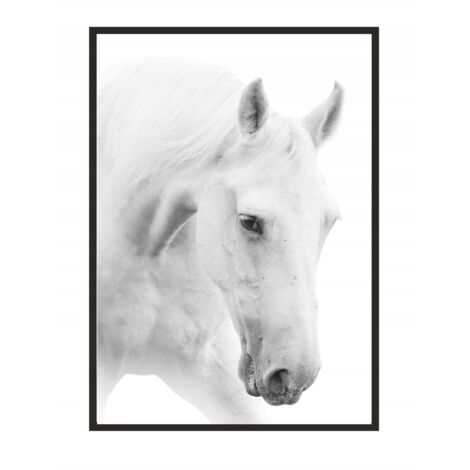 CUADRO, PÓSTER ENMARCADO 33x43 cm Caballo P500