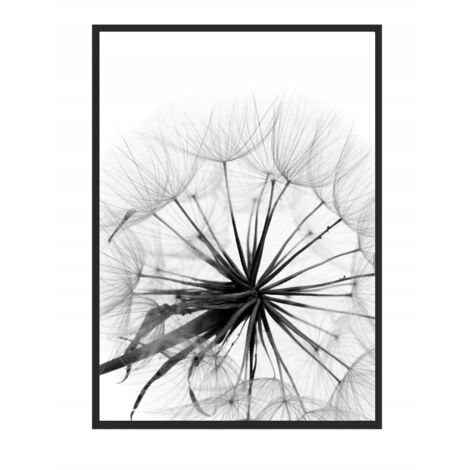CUADRO, PÓSTER ENMARCADO 33x43 cm Diente de león P505