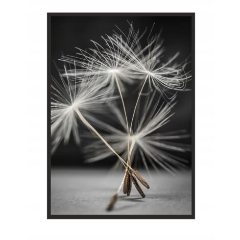 CUADRO, PÓSTER ENMARCADO 33x43 cm Diente de león P521