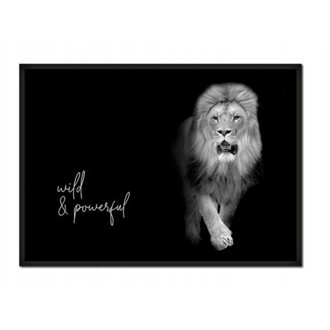 CUADRO, PÓSTER ENMARCADO 53x73 cm Animales P624