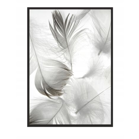 CUADRO, PÓSTER ENMARCADO 73x53 cm Diente de león P504