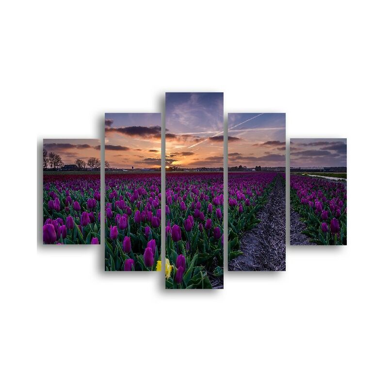 

Cuadro Purpura - 5 piezas - Naturaleza y paisajes - por sala de estar, habitacion - Multicolor en MDF, 95 x 0,3 x 60 cm