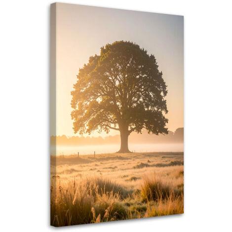Cuadro sobre Lienzo, Árbol en la niebla en un prado paisaje naturaleza, 20x30