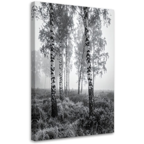 Cuadro sobre Lienzo, Bosque de abedules niebla paisaje en blanco y negro, 20x30