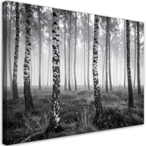 Cuadro sobre Lienzo, Bosque de abedules niebla paisaje en blanco y negro, 30x20