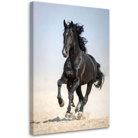 Cuadro sobre Lienzo, Caballo negro corriendo animales, 20x30