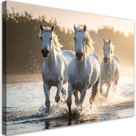Cuadro sobre Lienzo, Caballos blancos galopando en el agua, 30x20