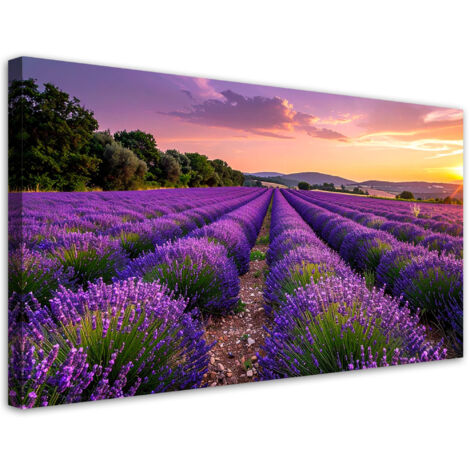 Cuadro sobre Lienzo, Campo de lavanda atardecer, 80x40