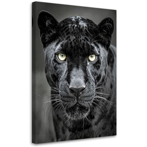 Cuadro sobre Lienzo, Pantera negra animales naturaleza, 30x45