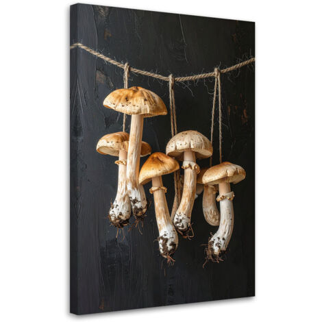 Cuadro sobre Lienzo, Setas porcini secas, 20x30