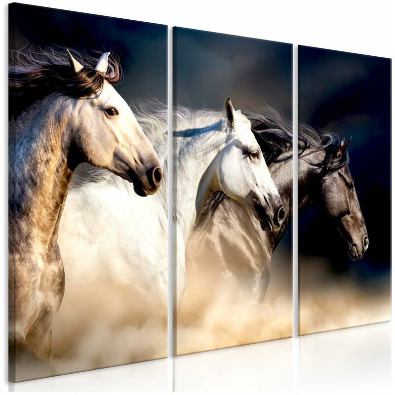 

Cuadro - Sons of the Wind (3 Parts) Medidas 90X60