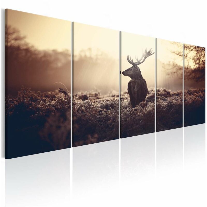 

Cuadro - Stag in the Wilderness Medidas 225X90