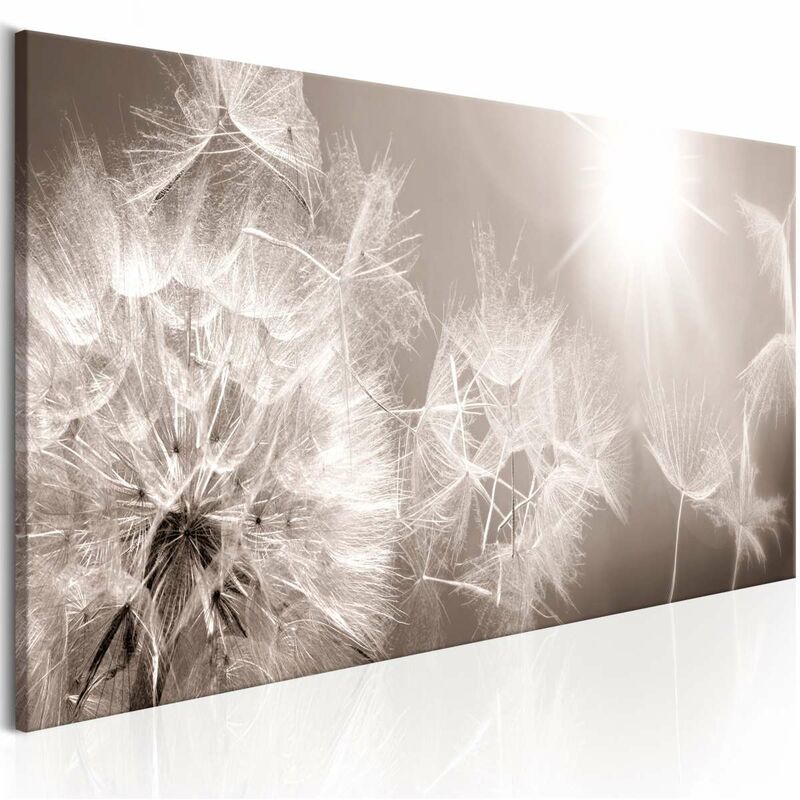 

Cuadro - Summer Dandelions Medidas 120X40